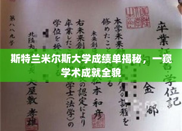 斯特兰米尔斯大学成绩单大揭秘，揭秘学术辉煌背后的真实故事