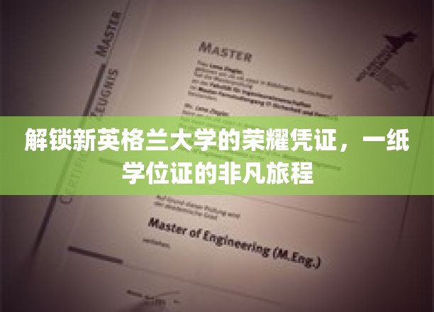 跨越新英格兰，探寻学位证书背后的传奇故事