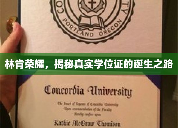 林肯荣耀，揭秘学位证背后的传奇制作之旅