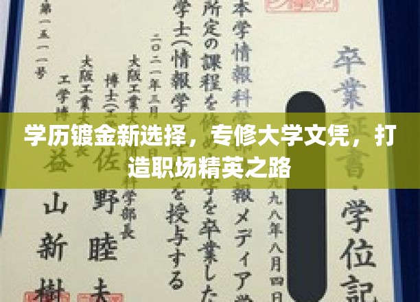 学历镀金新选择，专修大学文凭，打造职场精英之路
