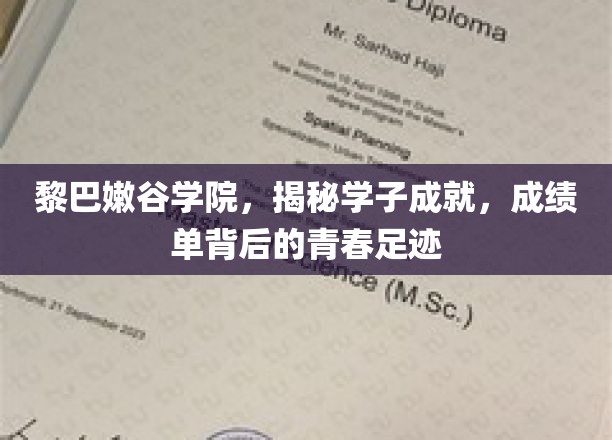 黎巴嫩谷学院，追寻学子辉煌，成绩单背后的青春印记