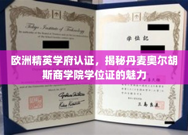 解锁欧洲顶尖教育认证，丹麦奥尔胡斯商学院学位证的非凡魅力