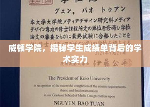 威顿学院，揭秘学生成绩单背后的学术实力