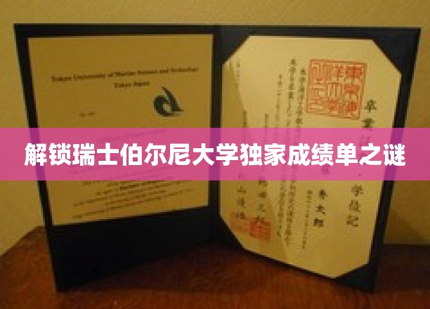 揭秘瑞士伯尔尼大学成绩单背后的秘密宝藏