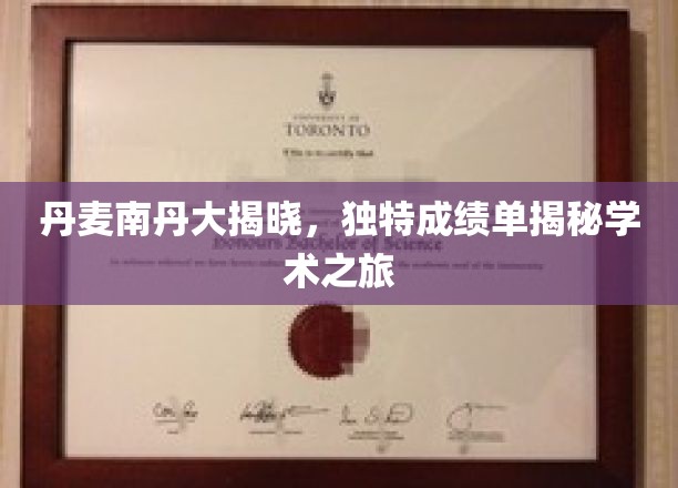 探寻丹麦南丹卓越之旅，揭秘不一样的学术成绩单揭秘