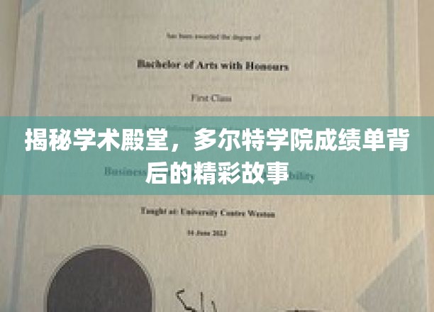 探索多尔特学院，揭秘学霸背后的不凡历程