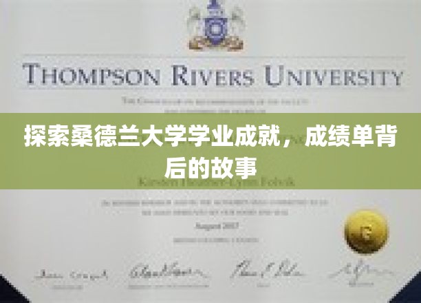 解码桑德兰大学卓越之路，揭秘成绩单背后的精彩篇章