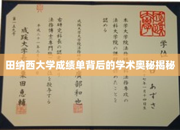 揭开田纳西大学成绩单的神秘面纱，探寻学术成就背后的奥秘