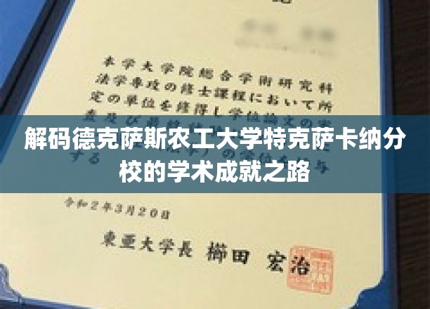 探索德克萨斯农工大学特克萨卡纳分校的学术辉煌轨迹