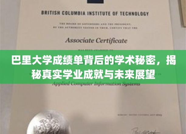 巴里大学成绩单背后的学术秘密，揭秘真实学业成就与未来展望