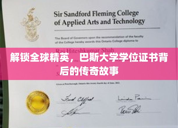巴斯大学学位证书，揭秘国际精英背后的非凡旅程