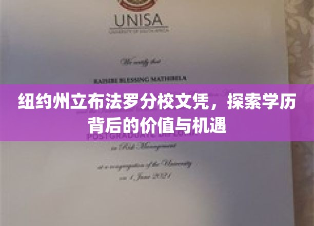 纽约州立布法罗分校文凭，解锁你的国际教育之路与无限可能