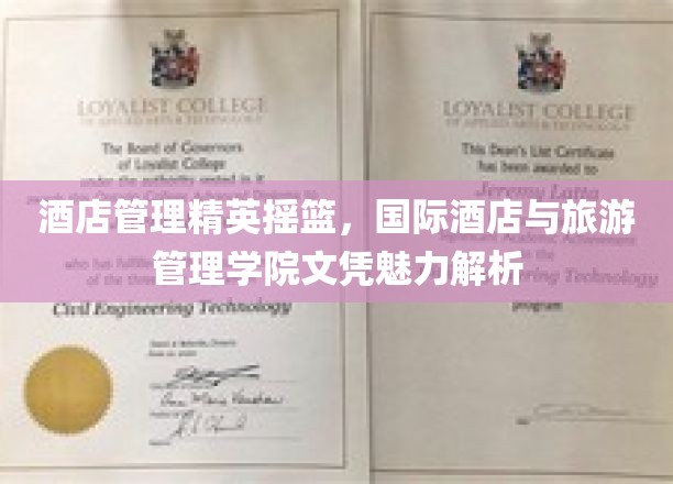 酒店管理精英摇篮，国际酒店与旅游管理学院文凭魅力解析