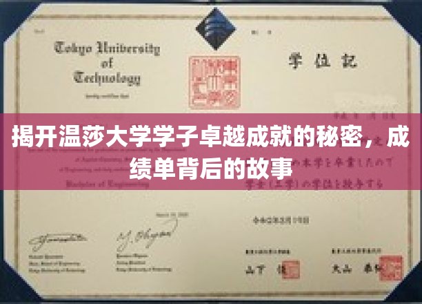揭开温莎大学学子卓越成就的秘密，成绩单背后的故事