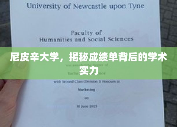 尼皮辛大学，揭秘成绩单背后的学术卓越之谜