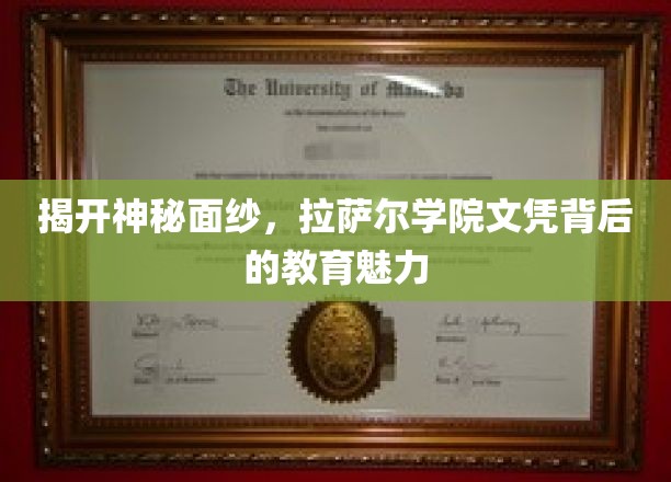 揭开神秘面纱，拉萨尔学院文凭背后的教育魅力