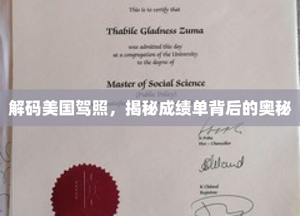 解码美国驾照，揭示成绩单背后的奥秘