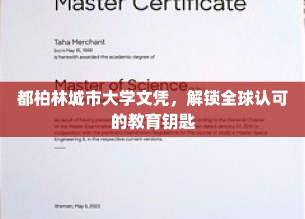 全球通行证，都柏林城市大学文凭的无限可能
