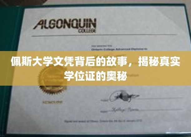 探寻佩斯大学文凭背后的秘密，学位证的神秘面纱