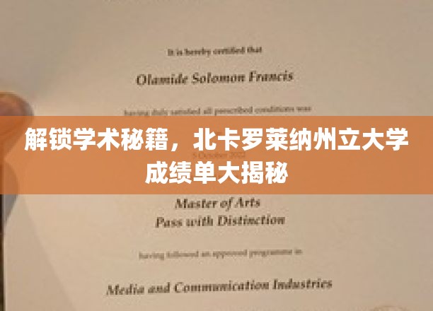 解锁学术秘籍，北卡罗莱纳州立大学成绩单大揭秘