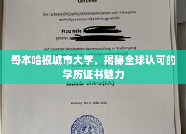 哥本哈根城市大学，揭秘全球认可的学历证书魅力