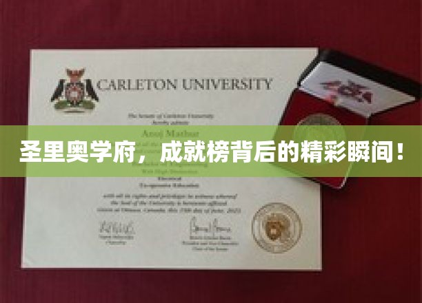 学府之光，圣里奥学府成就榜背后的璀璨瞬间揭晓！
