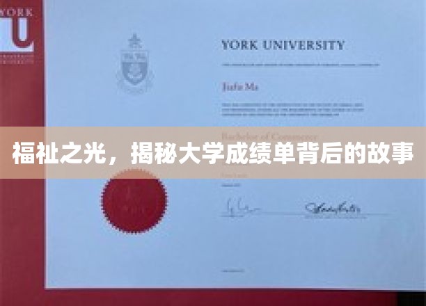 福祉之光，探寻大学成绩单背后的故事