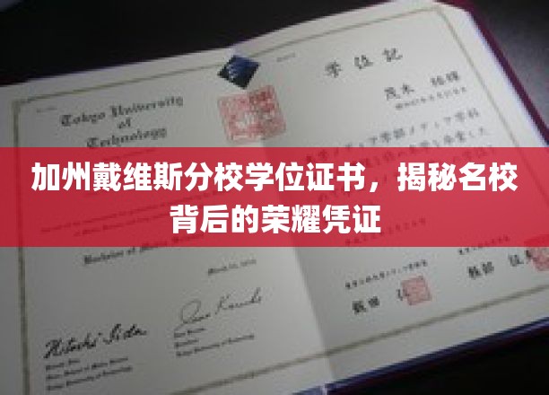 加州戴维斯分校学位证书，揭秘名校背后的荣耀凭证