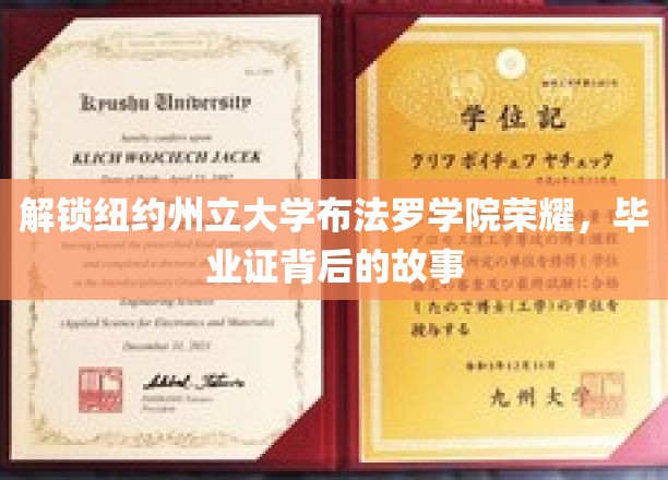 解锁纽约州立大学布法罗学院荣耀，毕业证背后的故事
