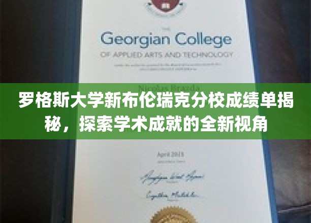 罗格斯大学新布伦瑞克分校成绩单揭秘，探索学术成就的全新视角