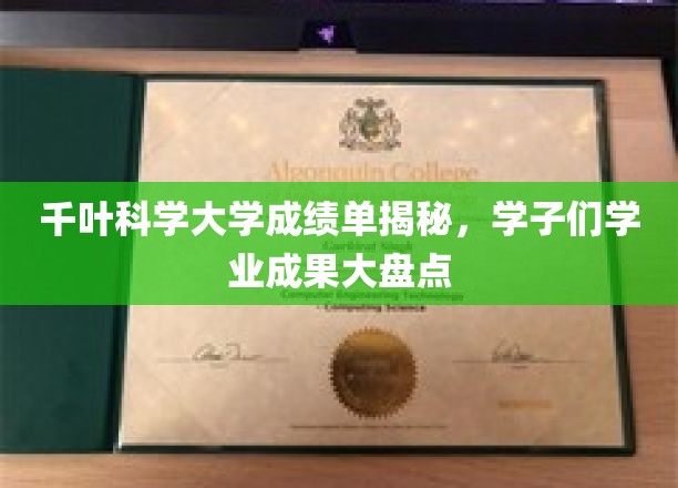千叶科学大学学子风采，成绩单背后的学业辉煌