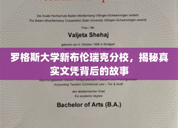 罗格斯大学新布伦瑞克分校，揭秘真实文凭背后的故事