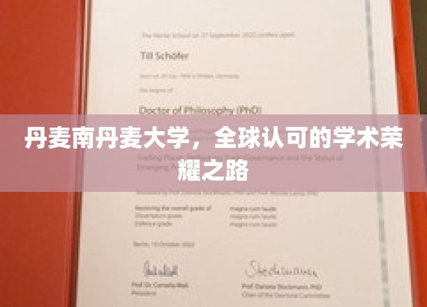 丹麦南丹麦大学，全球认可的学术荣耀之路