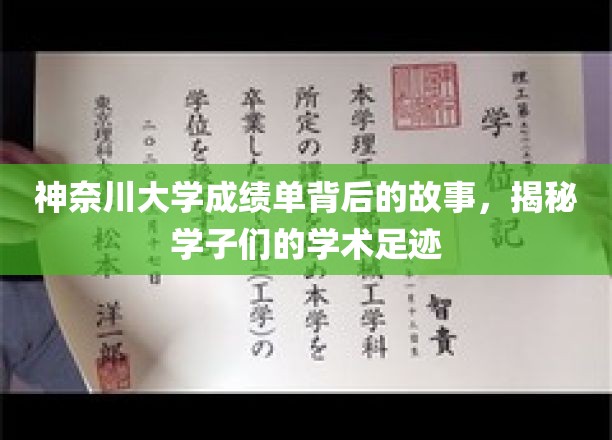 神奈川大学成绩单背后的故事，探寻学子们的学术足迹