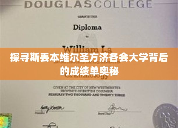 揭秘斯丢本维尔圣方济各会大学成绩单背后的奥秘