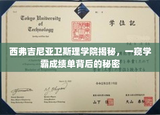 探寻西弗吉尼亚卫斯理学院学霸们的学术奥秘，成绩单背后的非凡故事