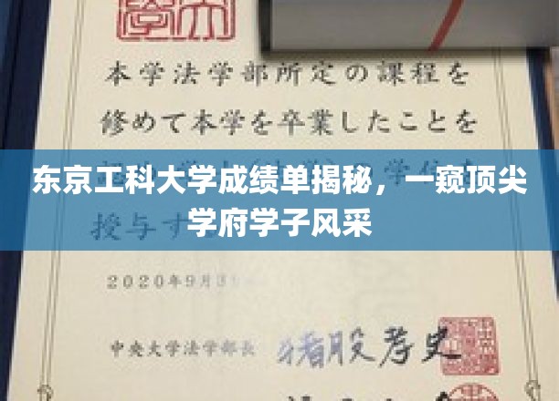 东京工科大学成绩单深度解析，一睹顶尖学府学子风采