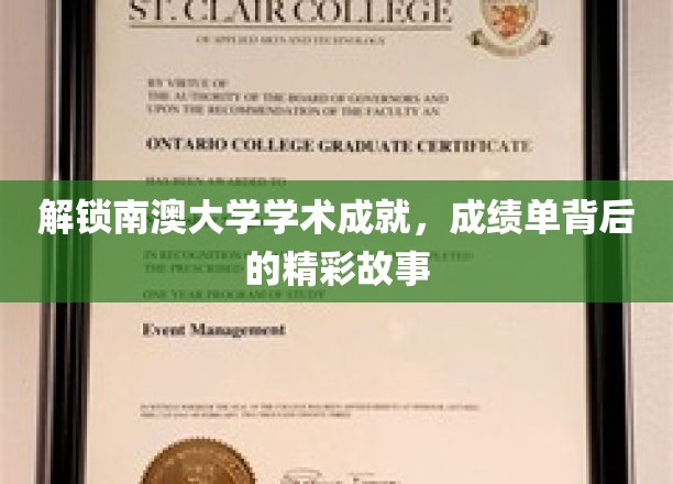 解锁南澳大学学术成就，成绩单背后的精彩故事