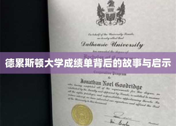 德累斯顿大学成绩单背后的故事与启示