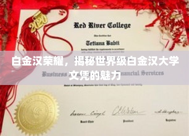 白金汉大学荣耀，探秘世界级文凭的非凡魅力