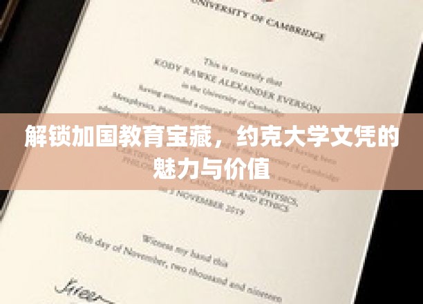 加拿大教育瑰宝揭秘，约克大学学位的璀璨光芒