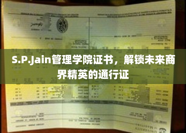 商界精英必备，S.P.Jain管理学院证书，开启无限职业可能