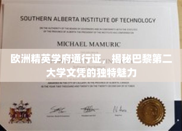 解锁巴黎第二大学，欧洲顶尖学府的独门秘籍与荣耀