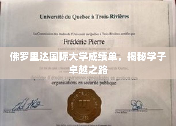 解码佛罗里达国际大学学子卓越成绩背后的秘密旅程