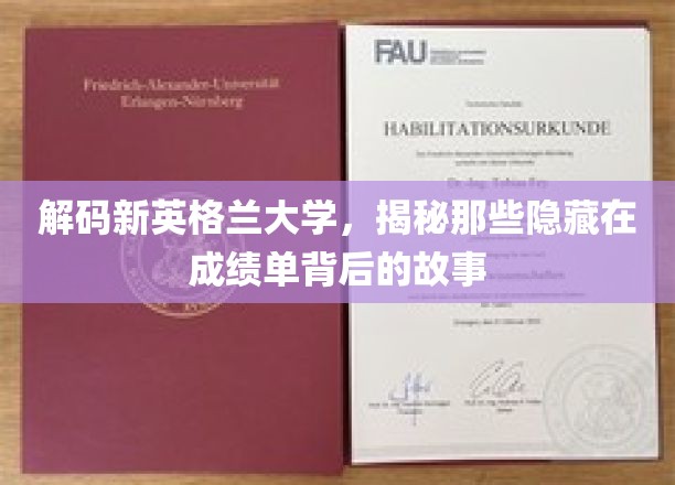 新英格兰大学成绩单背后的神秘面纱，揭秘真实校园生活