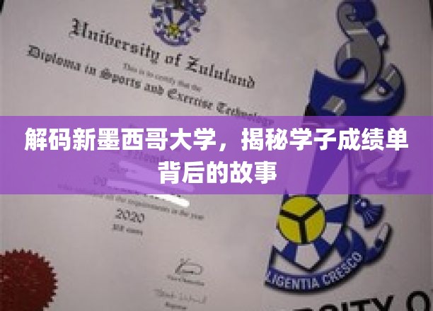 探寻新墨西哥大学学子成绩单背后的独特篇章