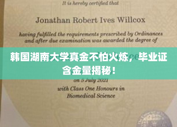 韩国湖南大学真金不怕火炼，毕业证含金量揭秘！