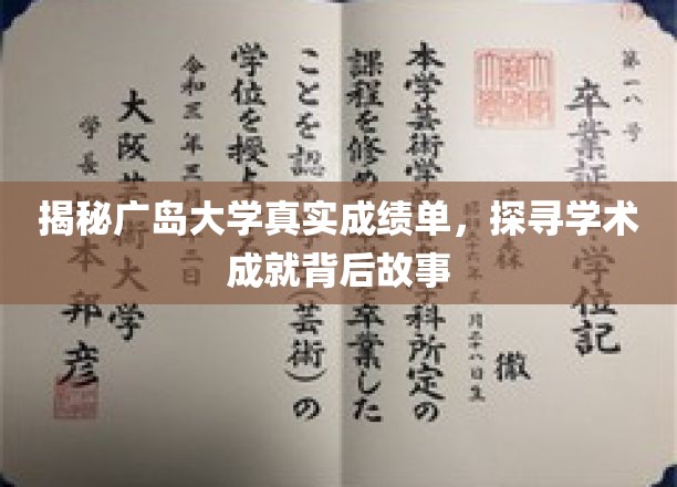 广岛大学成绩单揭秘，探寻学术精英的成长轨迹