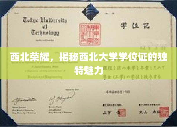 西北瑰宝，探秘西北大学学位证的非凡风采