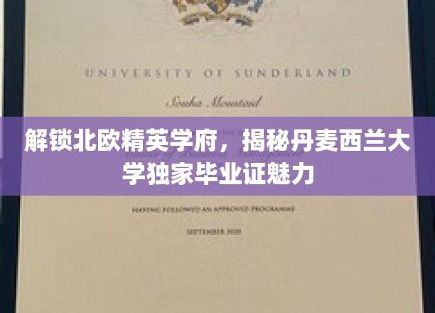 丹麦西兰大学毕业证背后的北欧精英教育风采